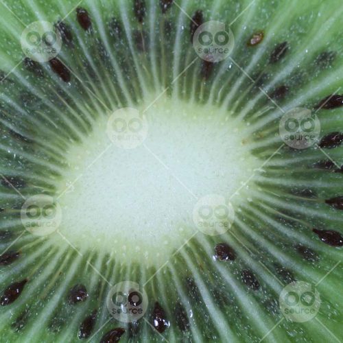 INW010722118_Kiwi Close Up_Free