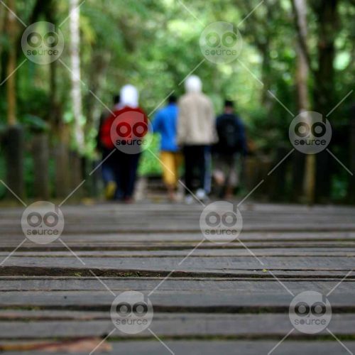 INW010722127_People Walking on a Bridge_Free