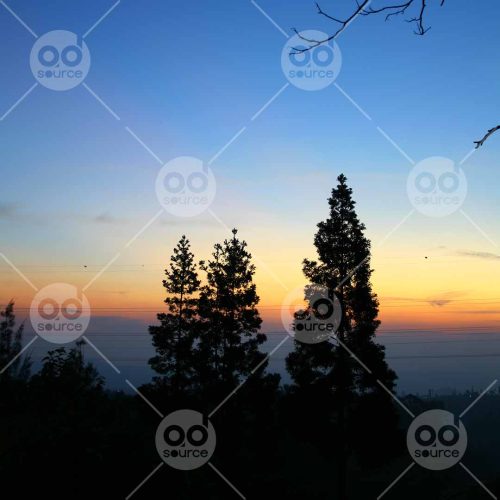 INW010722129_Sunrise and Tree Silhouette with Moon_Free