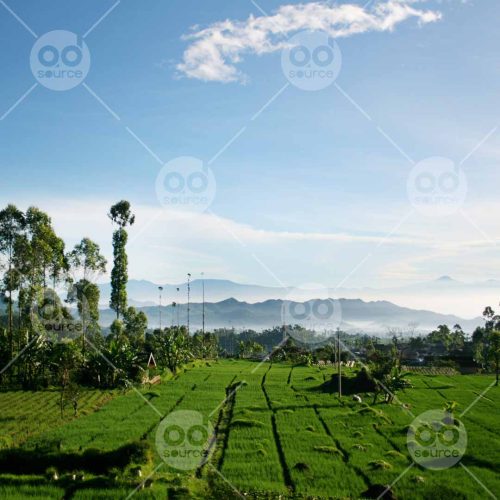 INW010722134_Rice Field Mountain Sky Landscape_Free