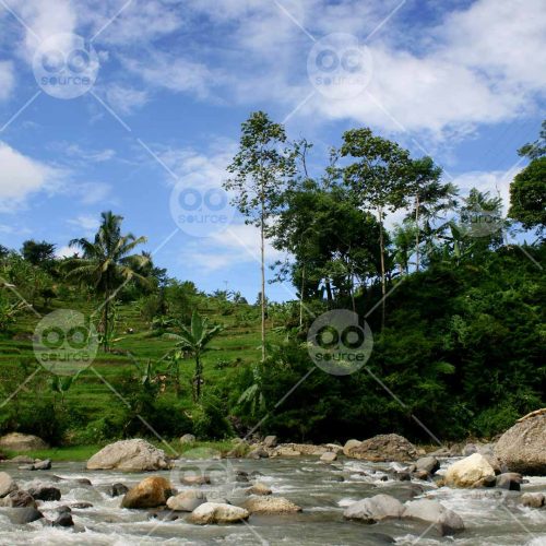 INW010722149_River Rice Field_Free