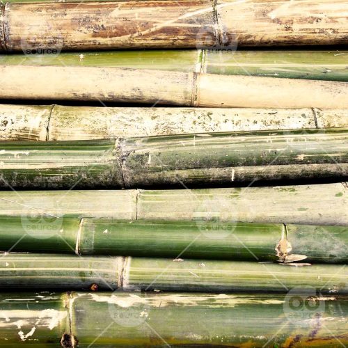 INW010722190_Bamboo Pile_Free