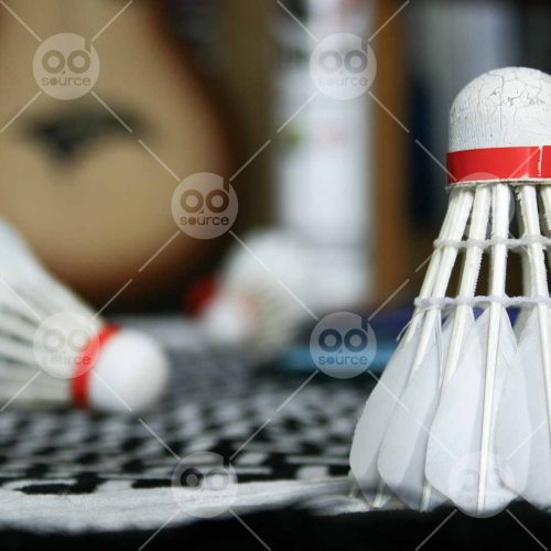 INW010722247_Shuttlecock Close Up_Free