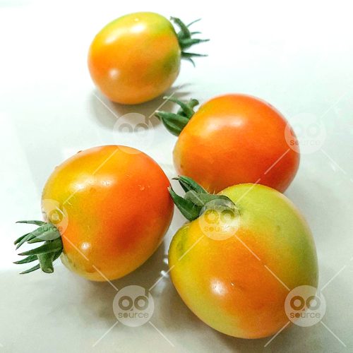 Tomato1